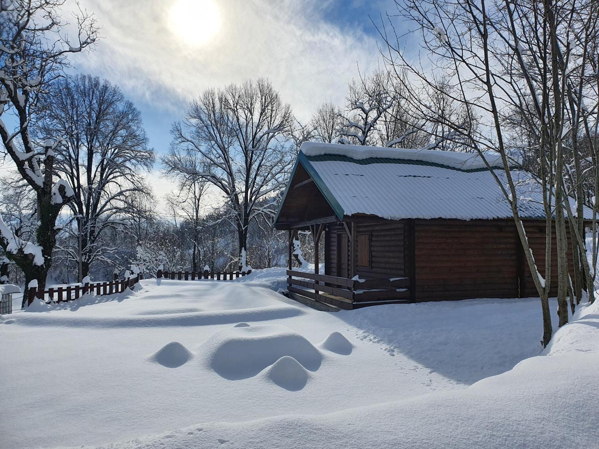 Cabin House Dubovik Цетине Экстерьер фото